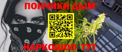 шишки Жуковский