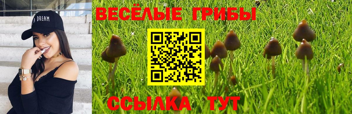 Псилоцибиновые грибы Magic Shrooms  Псилоцибиновые грибы ЛСД  Вход с VPN  Уссурийск 